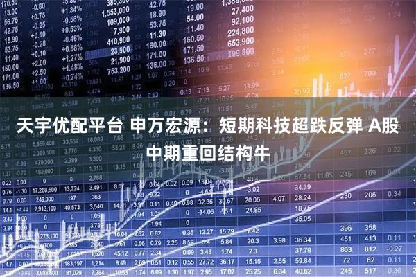 天宇优配平台 申万宏源：短期科技超跌反弹 A股中期重回结构牛