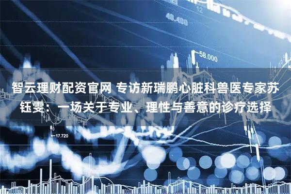 智云理财配资官网 专访新瑞鹏心脏科兽医专家苏钰雯：一场关于专业、理性与善意的诊疗选择